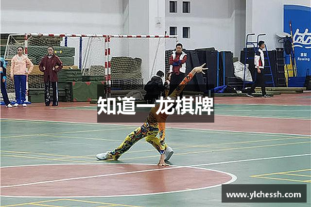 知道一龙棋牌